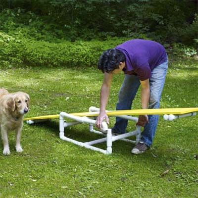نمونه دوره Agility خانگی با وسایل معمولی سگ