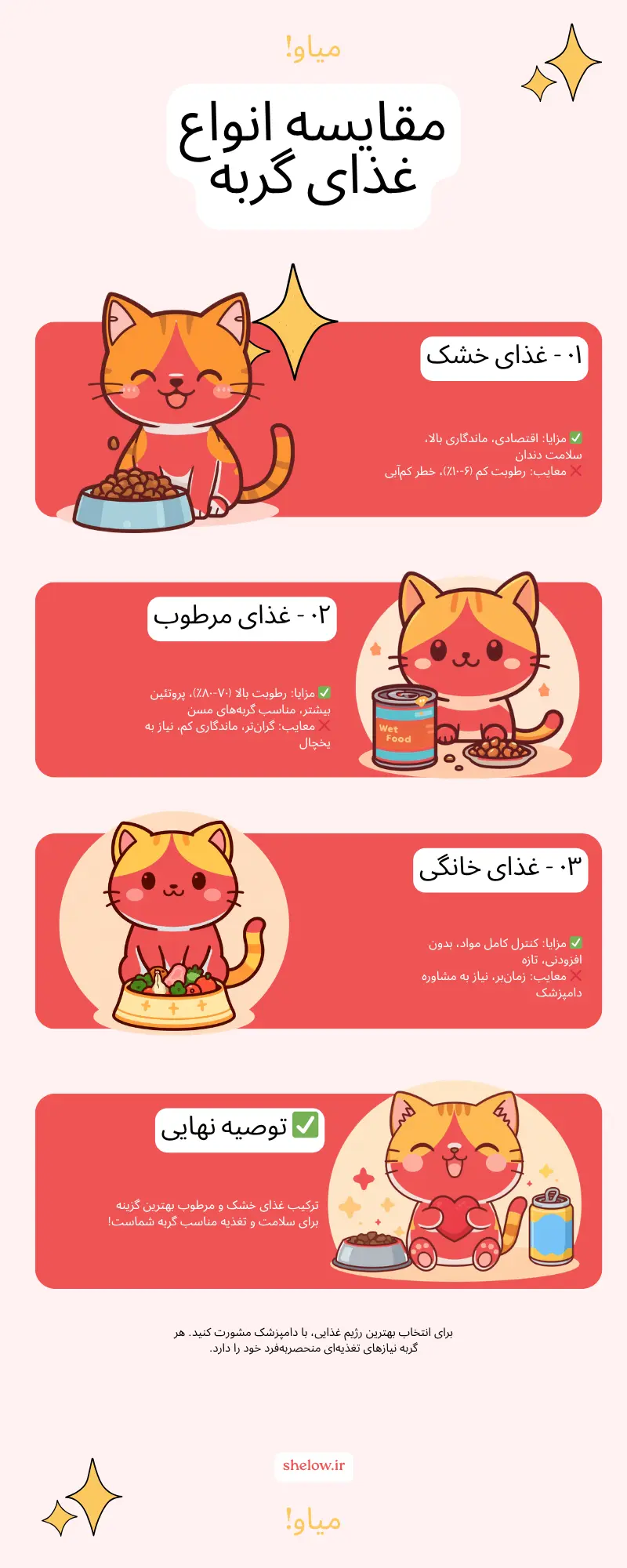 انواع غذای گربه خانگی شامل کیبل خشک، کنسرو مرطوب و غذای خانگی