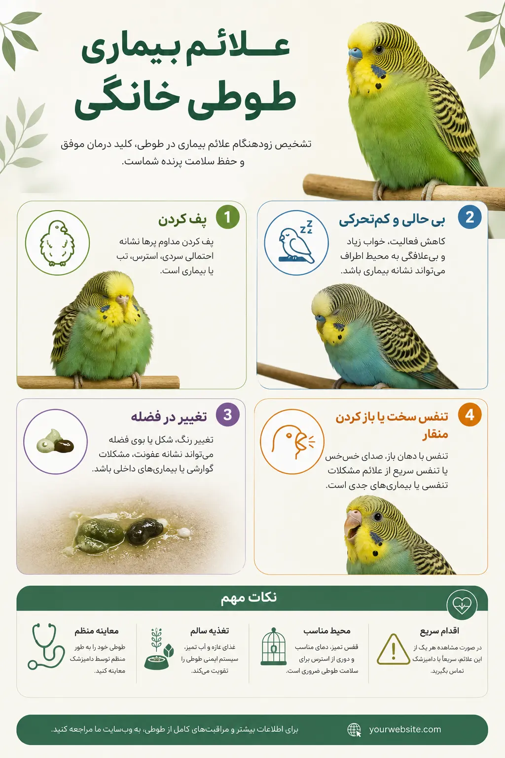 علائم بیماری طوطی خانگی شامل پف کردن، بی‌حالی، تغییر فضله و تنفس سخت