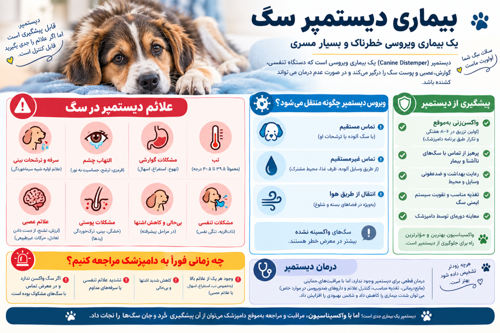 info دیستمپر سگ