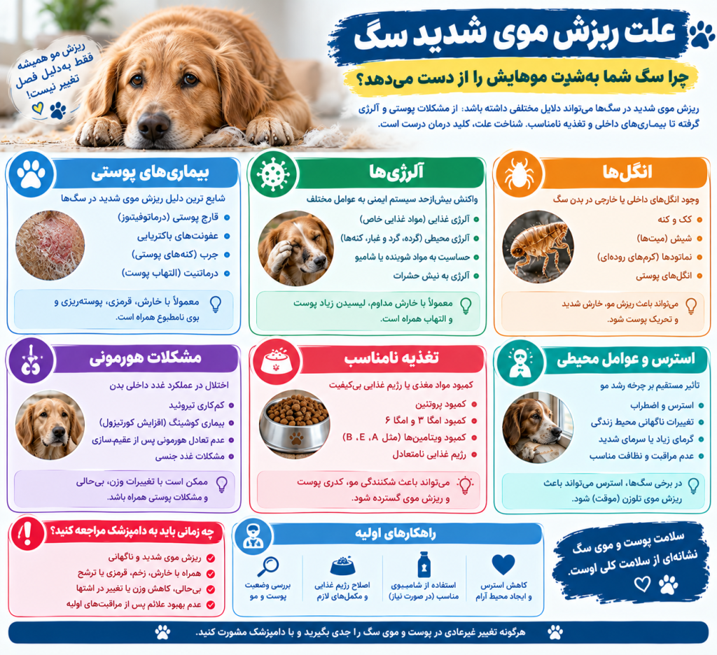 info علت ریزش موی شدید سگ