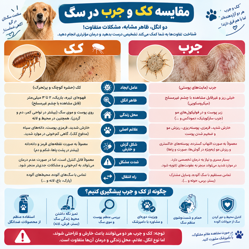 info مقایسه کک کنه و جرب در سگ