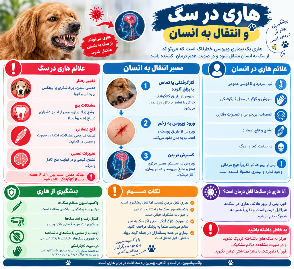 info هاری در سگ و انتقال به انسان